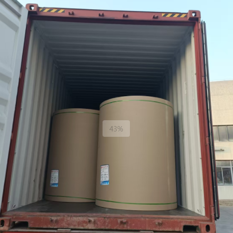 原木卷紙紙張可以走集裝箱海運嗎